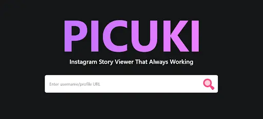 Picuki Viewer