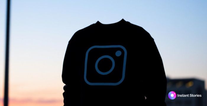 How to Download Instagram Stories and Highlights Safely?